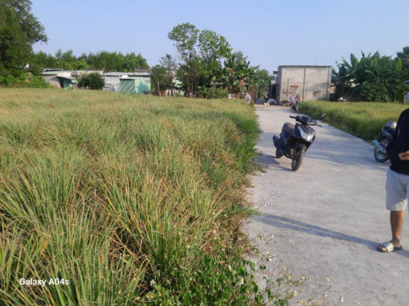 Bán đất vườn Vĩnh Thanh nhơn trạch